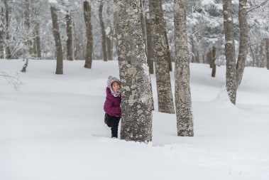 Ostavljena na snegu: Devojčica (6) se smrzavala na ciči zimi, zamalo da se pomiri sa sudbinom, ali onda se desilo čudo