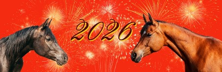 Zašto je 2026. toliko moćna? Numerolozi upozoravaju – dolazi godina koja briše staro i pokreće potpuno novi životni ciklus