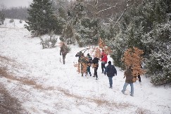 Nikako u ovo vreme, ni na ovo mesto: Kada se Badnjak unosi u kuću i gde treba da stoji?