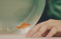 Konačno će se sreća osmehnuti i njima u drugoj polovini meseca: 2 horoskopska znaka zahvatiće vir sreće, oni će se od srca radovati posle 16. januara