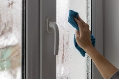 Prozori vam „plaču“, a buđ vreba iza ćoška? Ovaj jeftin trik sa solju i lovorom može da zaustavi haos već večeras!