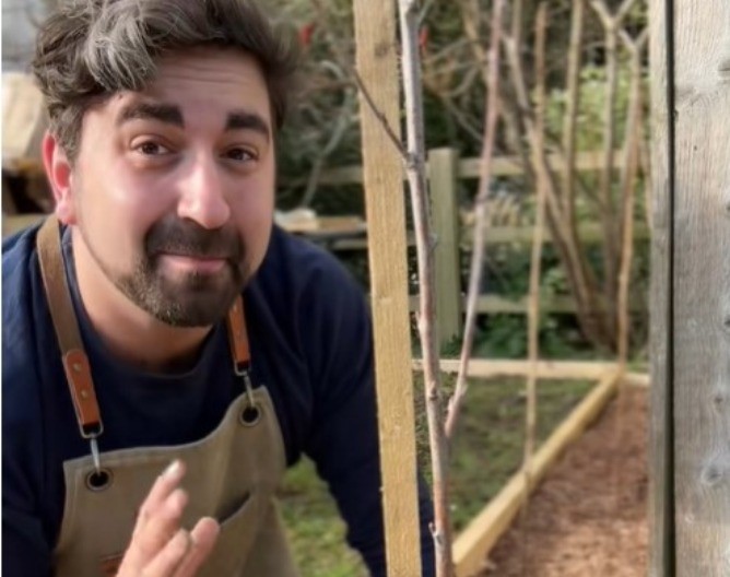 Ne bacajte rolne od wc papira: Baštovan otkriva kako da ih upotrebite u bašti