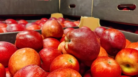 Imate višak jabuka? Ne bacajte ih, već im ovako produžite rok trajanja