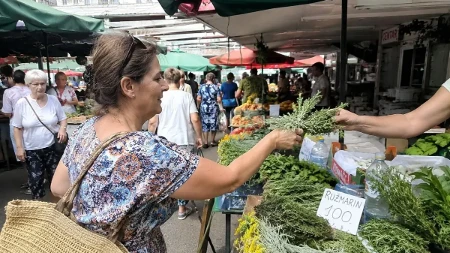 Srbi su ruzmarin držali blizu sebe, a danas ga proučavaju i naučnici: Njegov miris se povezuje sa boljim pamćenjem