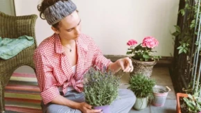 Lavanda teško preživljava zimu ako napravite ove greške: 5 trikova baštovana koji čuvaju biljku od propadanja