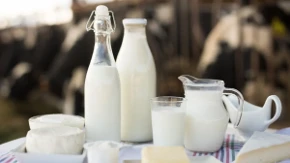 Šta je bolje za kosti - jogurt ili mleko? Ovo piće ima ogromne prednosti