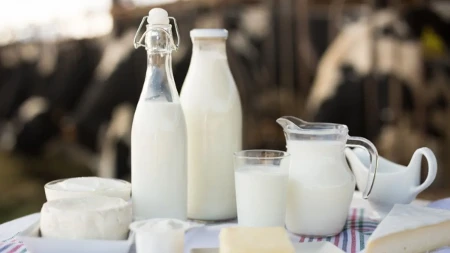 Šta je bolje za kosti - jogurt ili mleko? Ovo piće ima ogromne prednosti