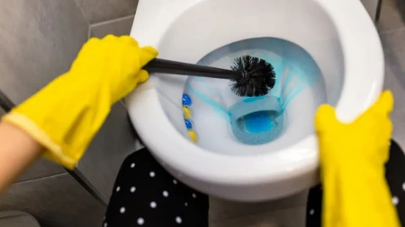 "Pa očistila sam je pre tri dana, odakle sad opet ovo?" Kako trajno ukloniti žutilo iz WC šolje