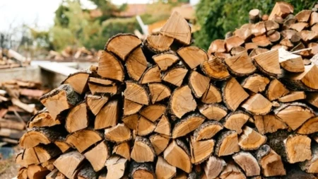 Greška koju mnogi prave sa ogrevom može skupo da ih košta: Drva slabije greju, a pelet propada