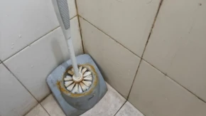 Kako ubiti svu prljavštinu sa četke za wc šolju? Bakterije spadaju sa drške momentalno - naprskajte je ovim
