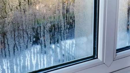 Magle vam se prozori čim zahladi? Stavite ovo u šolju i ostavite na dasci, i zaboravite na vlagu