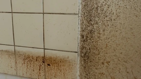 Otapa i onu najgoru masnoću, skida sve kao od šale: Kako očistiti kuhinjske pločice, biće kao nove