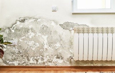 Buđ na zidu mi se više ne javlja: Stavila sam ovo u svaku sobu i vlaga je nestala