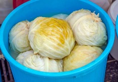 Kiseli kupus je počeo da peni? Trajaće vam do leta ako dodate samo 1 sastojak