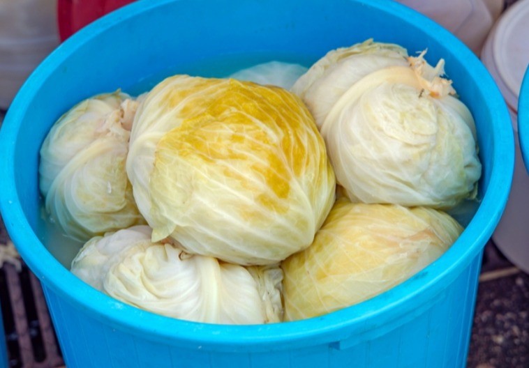 Kiseli kupus je počeo da peni? Trajaće vam do leta ako dodate samo 1 sastojak