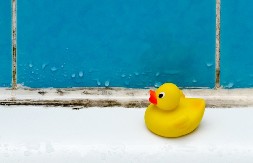 Kako ukloniti buđ sa fuga: Jedan proizvod skida crne fleke bez ribanja