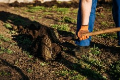 Krenite na vreme: Šta se seje u martu da bi vam bašta u maju bila puna plodova