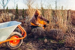Ne secite ukrasne trave dok ovo ne pročitate: Jedna greška zaustaviće zdrav i bujan rast u proleće