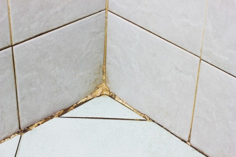 Ni soda bikarbona, a ni limun, samo ovo: Skida i buđ i kamenac u tuš kabini, odlično i za kadu, a košta nešto smešno