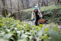 Zovu ga "UBICA OTROVA": Ova prolećna biljka čisti krvne sudove i jača imunitet, a raste svuda po Srbiji