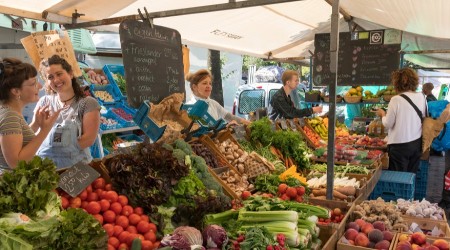 Na pijacama po Srbiji svi kupuju i traže samo ovu biljku: Snižava i holesterol i pritisak, a travar Momčilo otkriva kako se pravilno koristi  