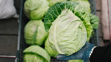 Evo gde vam ostane prljavštine, tu nikada ni ne pogledate: Kako se pravilno oprati mladi kupus, ovaj deo obavezno pod mlaz vode!