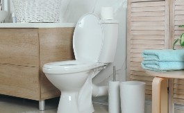 Crni krug oko WC šolje izgleda ružno: Ovo je najlakši način da ga očistite