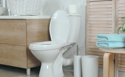 Crni krug oko WC šolje izgleda ružno: Ovo je najlakši način da ga očistite