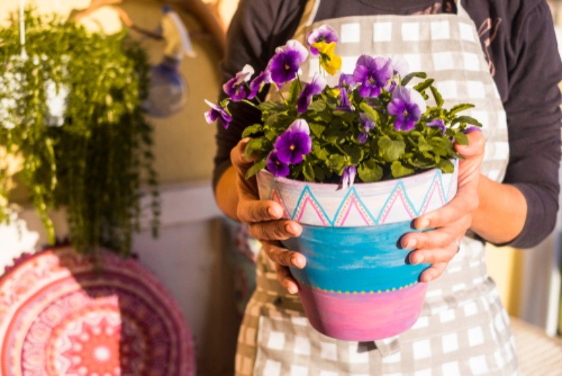 Izneli ste cveće pre ovog datuma? Oprostite se sa raskošnom terasom, evo i zašto