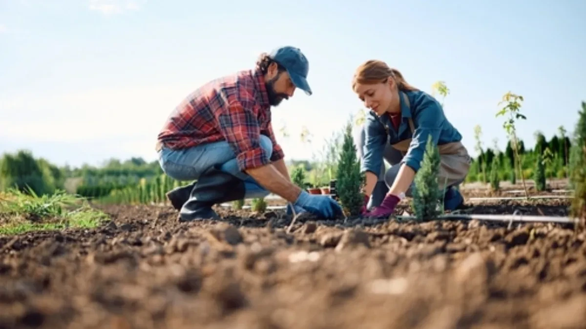 April je presudan: Ako sada posadite ovo povrće, imaćete punu baštu cele godine