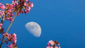 Opadajući polumesec u Vodoliji privlači izobilje: 3 znaka će od 11. aprila ležati na parama!