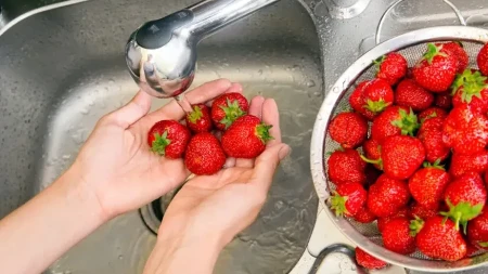 Jagode su najzagađenije voće: Evo kako da ih pravilno operete