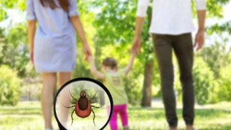 Rešite se krpelja bez skupih sprejeva: Ni dinar nećete dati, a provereno radi!