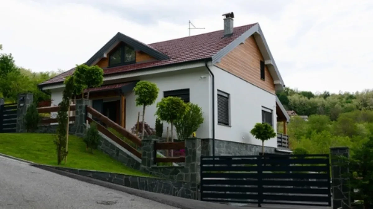 Popularno drvo može uništiti vaše instalacije: Evo gde ga nikada ne treba posaditi