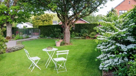 Baštovani savetuju da odmah stavite ovo na travnjak: Biće zeleniji i gušći nego ikad