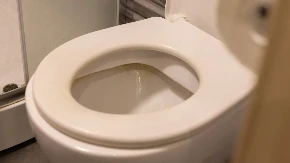 Treba vam 100 dinara i 60 minuta da skinete i najgori kamenac: Ovo prirodno sredstvo skida svu prljavštinu sa WC šolje