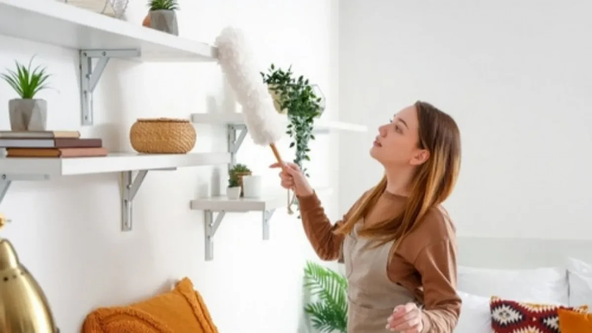 Zaboravljamo 1 stvar na policama: Mislite da je dovoljno prebrisati prašinu, ali važno je i ovo