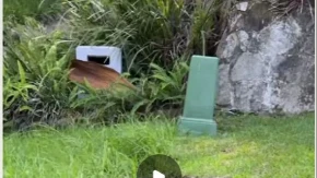 "Da li me mrze?": Komšije mu ostavile "poruku" na travnjaku, internet se usijao