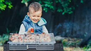 Šta deca smeju da jedu sa roštilja, a šta ne bi trebalo nikako? Saveti za Prvi maj koje roditelji često zanemare