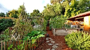 Stručnjaci savetuju da u aprilu pospete crni biber po bašti: Štetočine beže, a biljke bujaju kao lude