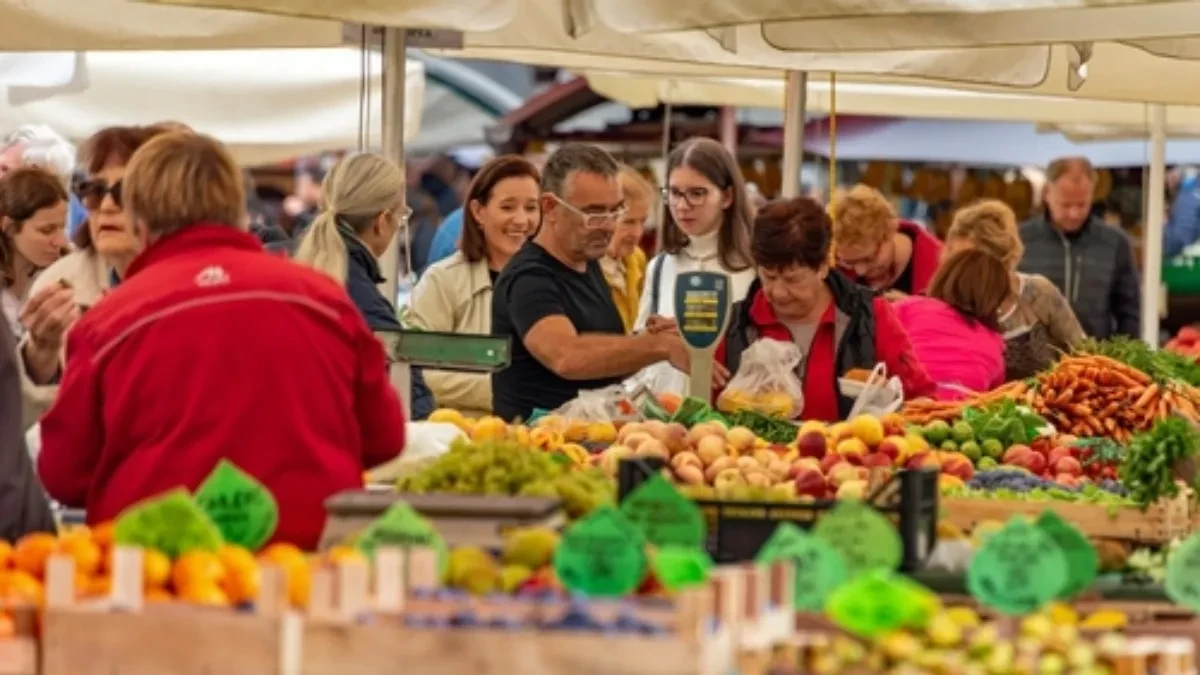 Slovenci poludeli za ovom biljkom: Prodaje se i kod nas, a zovu je prirodni štit zdravlja!