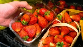 Ko ne bi smeo da jede jagode? Ako imate ovaj zdravstveni problem, bolje ih zaobiđite