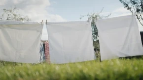 Zapušen vam je nos, nešto nije u redu sa vašom posteljinom!