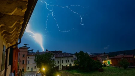 Svi prvo potrče ispod drveta da stanu, ali tamo ni u ludilu: Gde se sakriti od odara groma?