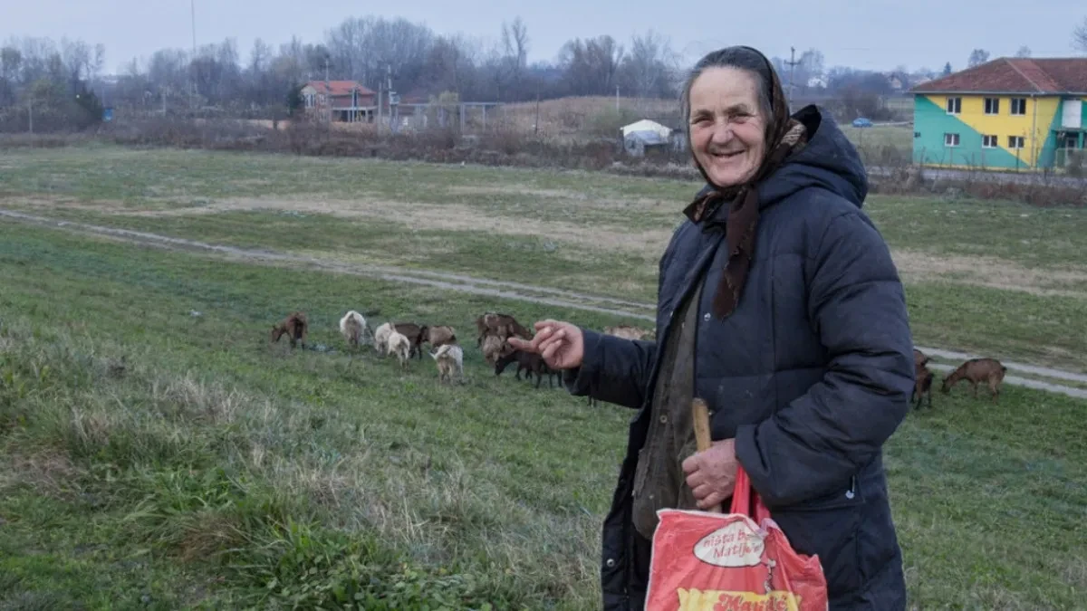 Ljudi sa ovom krvnom grupom su najzdraviji: Istraživanja su pokazala da oni najduže žive