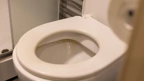 Ni trunka se neće osećati, ubija mirise iz WC šolje: 1 namirnica iz kuhinje neutrališe sve, nemojte samo preterati