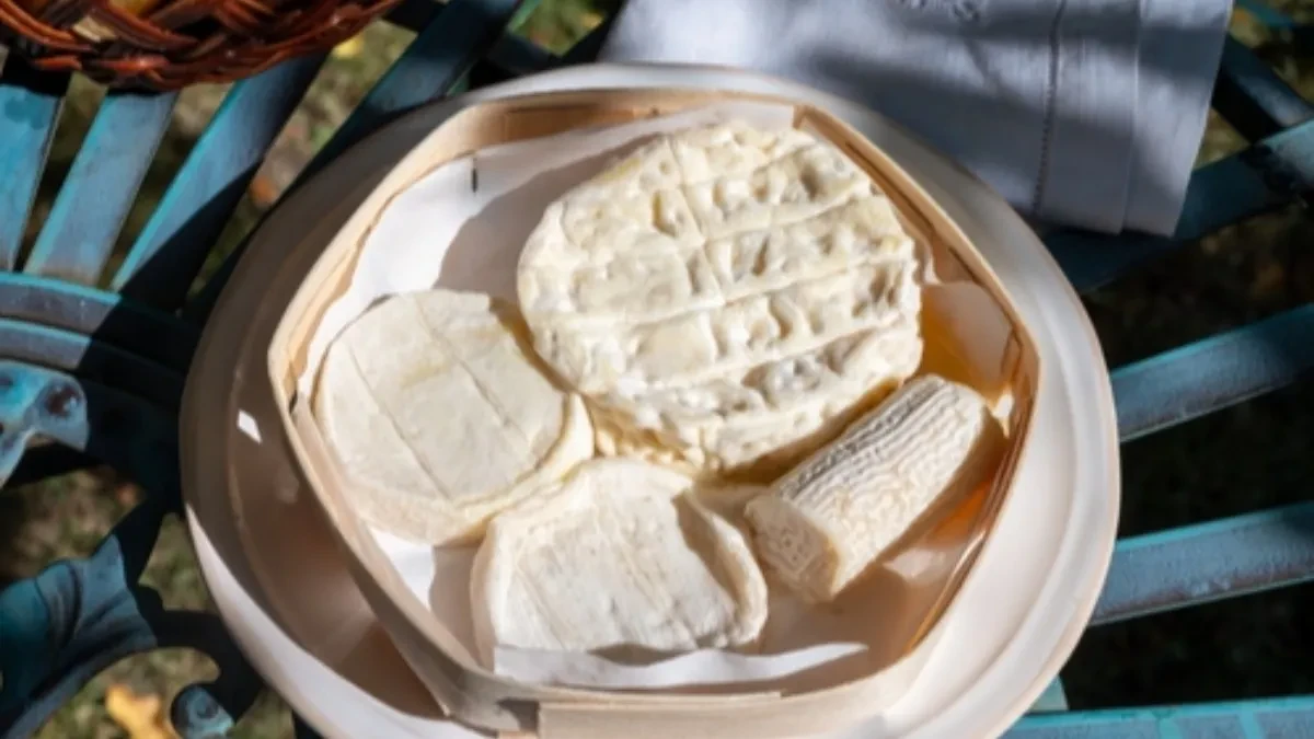 Kao melem za telo: Gastroenterolog otkrio namirnicu koja ima gotovo savršen protein