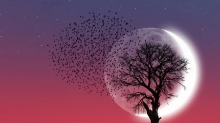Astrolozi najavljuju velike promene: Super mladi Mesec u Blizancima žestoko će prodrmati 4 znaka