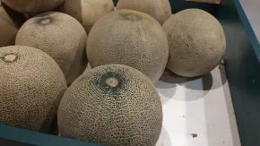 Jeste malo čudno, ali priđite nosem dinji, tako se prepoznaje da li je slatka ili ne: Još 1 stvar je važna za dobar izbor