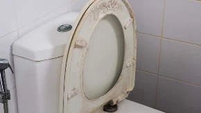 Čisti dasku od WC šolje bolje od varikine? Evo kako da od požutele dođete do sneg bele, bolje i od najjače hemikalije